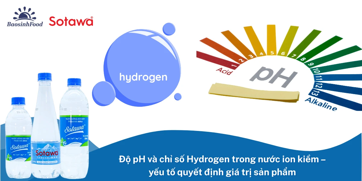 Độ pH và chỉ số Hydrogen trong nước ion kiềm: Yếu tố quyết định giá trị sản phẩm